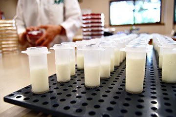 Milk Components Test